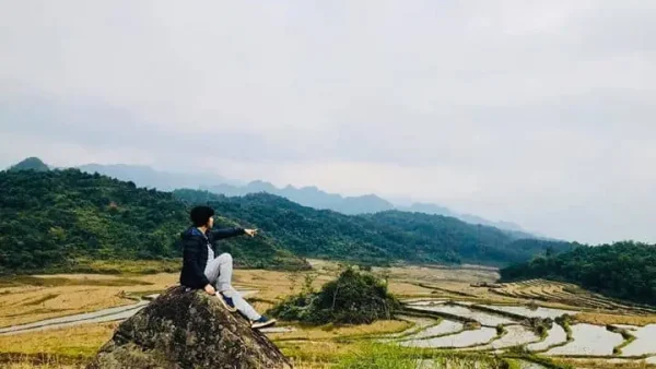 Giải Mã Giấc Mơ Đi Du Lịch Ăn Hạt Bí Mang Ý Nghĩa Gì Và Điềm Báo Gì?