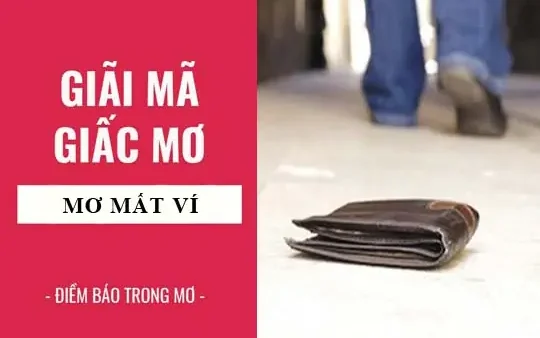 Giải Mã Giấc Mơ Lau Ví Đánh Con Gì Và Điềm Báo Lành Dữ Năm 2027
