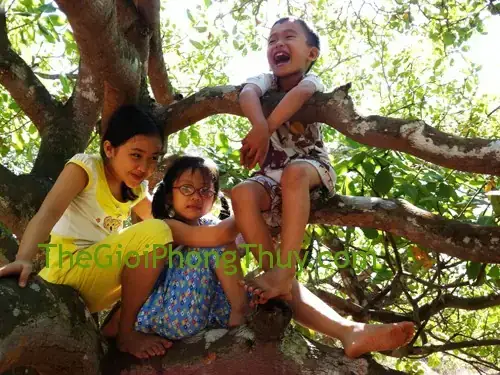 Cần Lưu Ý Gì Khi Xác Định Con Số May Mắn Từ Chi Tiết Bị Ngã Hoặc Cây Khô? Cần Lưu Ý Gì Khi Xác Định Con Số May Mắn Từ Chi Tiết Bị Ngã Hoặc Cây Khô?