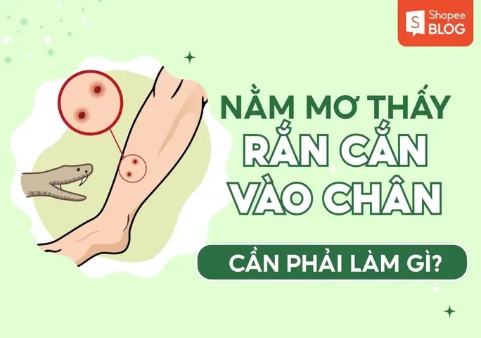 Giải Mã Giấc Mơ Lô Đề Bị Rắn Cắn Mang Điềm Báo Gì Và Đánh Con Gì Trúng Lớn?