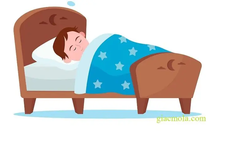 Sổ Mơ Lô Đề Toàn Tập: Giải Mã Giấc Mơ Tìm Con Số May Mắn Chính Xác