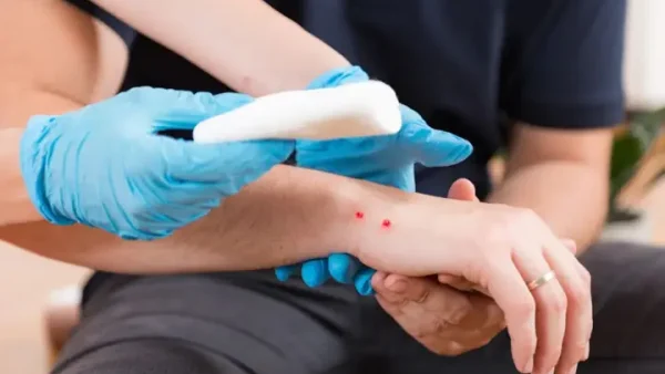 Giải Mã Giấc Mơ Lô Đề Thấy Rắn: Điềm Báo Lành Dữ Và Các Con Số May Mắn