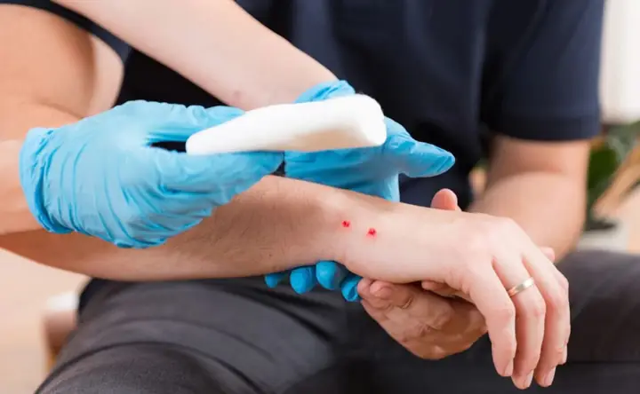 Mơ Thấy Rắn Cắn, Rắn Đuổi Và Các Hành Động Cụ Thể Mơ Thấy Rắn Cắn, Rắn Đuổi Và Các Hành Động Cụ Thể