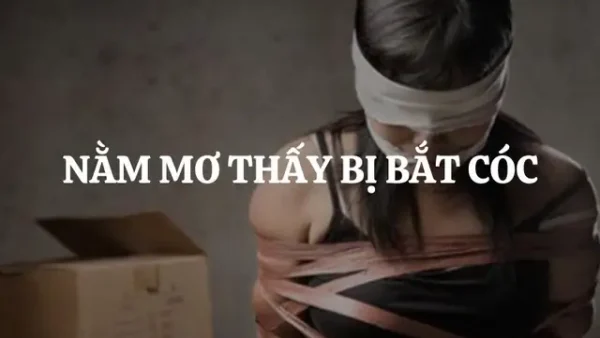 Giải Mã Giấc Mơ Thấy Mình Bị Bắt Cóc: Ý Nghĩa Điềm Báo Tốt Hay Xấu Và Những Con Số May Mắn