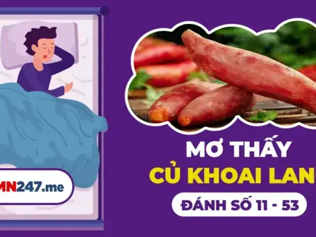Mơ Thấy Đào Khoai Lang Hoặc Làm Hỏng Khoai Gợi Ý Con Số Gì? Mơ Thấy Đào Khoai Lang Hoặc Làm Hỏng Khoai Gợi Ý Con Số Gì?