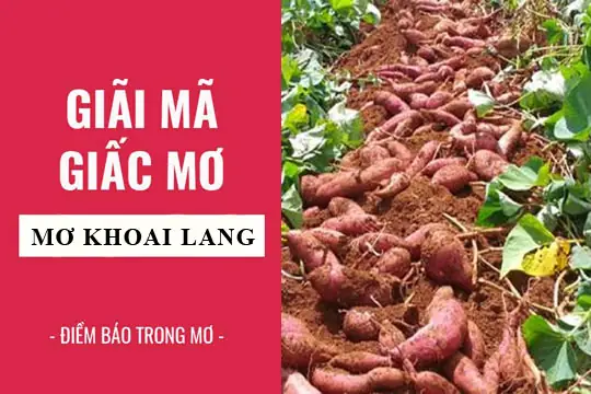 Nằm Ngủ Mơ Thấy Ăn Khoai Chiên Là Điềm Báo Gì, Lành Hay Dữ? Nằm Ngủ Mơ Thấy Ăn Khoai Chiên Là Điềm Báo Gì, Lành Hay Dữ?