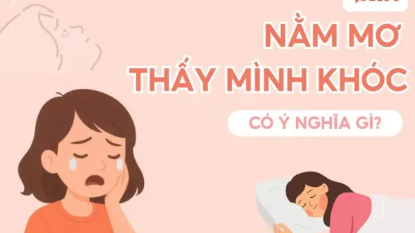 Giải Mã Giấc Mơ Ngủ Không Thấy Người Mình Thích: Ý Nghĩa Tâm Lý Và Điềm Báo Năm 2027