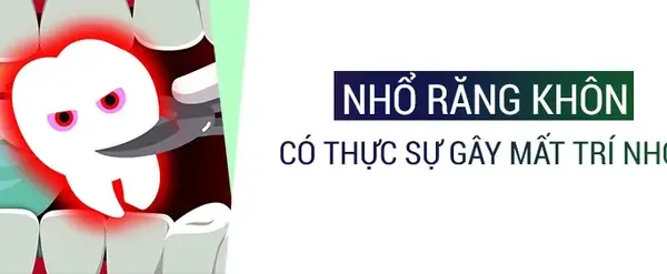 Giải Mã Giấc Mơ Rụng Răng Chảy Máu: Điềm Báo Tốt Hay Xấu Và Ý Nghĩa Khoa Học