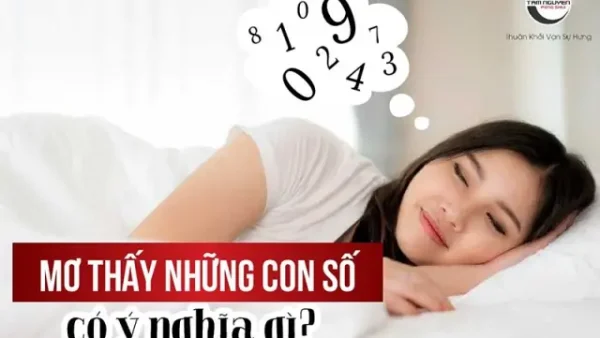 Sổ Mơ Lô Đề Tổng Hợp: Giải Mã Giấc Mơ Suy Ra Số Đề Chính Xác Nhất