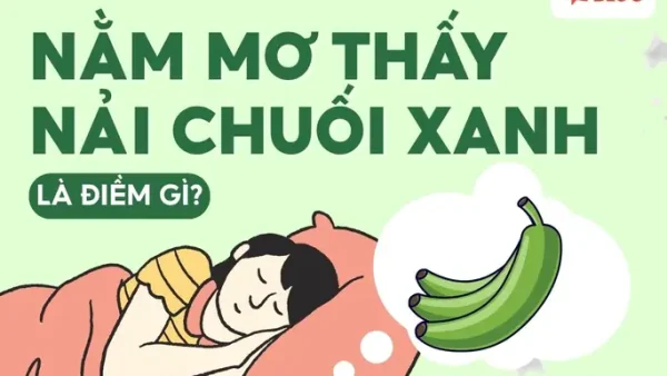 Giải Mã Giấc Mơ Thấy 2 Buồng Chuối: Điềm Báo Lành Hay Dữ Và Con Số May Mắn