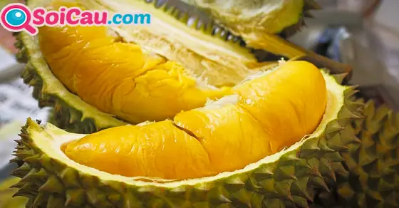 Ngủ Mơ Thấy Được Cho Hoặc Đi Ăn Trộm Sầu Riêng Mang Thông Điệp Gì? Ngủ Mơ Thấy Được Cho Hoặc Đi Ăn Trộm Sầu Riêng Mang Thông Điệp Gì?