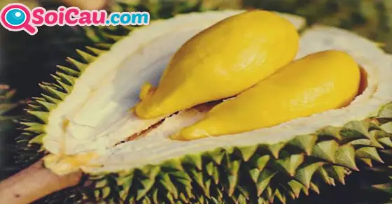 Mơ Thấy Ăn Sầu Riêng Đánh Con Gì Khi Kết Hợp Với Các Chi Tiết Phụ? Mơ Thấy Ăn Sầu Riêng Đánh Con Gì Khi Kết Hợp Với Các Chi Tiết Phụ?