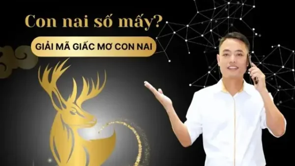Giải Mã Giấc Mơ Thấy Bắt Được Hươu: Điềm Báo Lành Hay Dữ Và Con Số May Mắn?