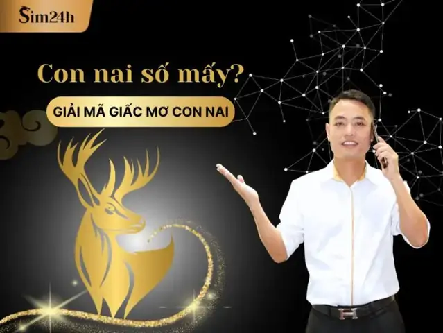 Giấc Mơ Bắt Được Hươu Phản Ánh Khát Vọng Gì Của Bạn? Giấc Mơ Bắt Được Hươu Phản Ánh Khát Vọng Gì Của Bạn?