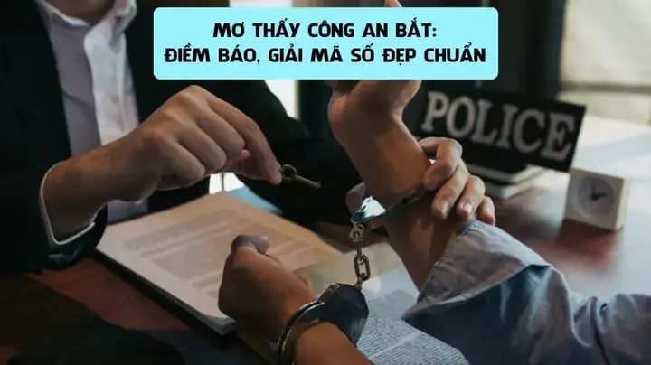 Giải Mã Giấc Mơ Thấy Bắt Sò Điệp: Điềm Báo Tốt Lành Hay Xui Xẻo Và Con Số May Mắn?