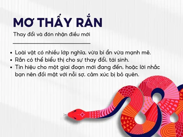 Giải Mã Giấc Mơ Thấy Bị Té Xuống Ao: Ý Nghĩa, Điềm Báo Lành Dữ Và Con Số May Mắn