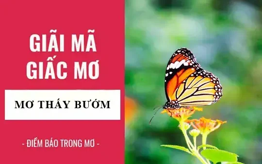 Giải Mã Giấc Mơ Thấy Bướm Của Mình: Ý Nghĩa, Điềm Báo Và Con Số May Mắn