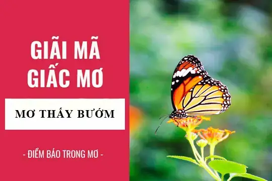 Mơ Thấy Bướm Trắng, Bướm Đen Hoặc Các Màu Sắc Khác Có Điềm Báo Gì? Mơ Thấy Bướm Trắng, Bướm Đen Hoặc Các Màu Sắc Khác Có Điềm Báo Gì?