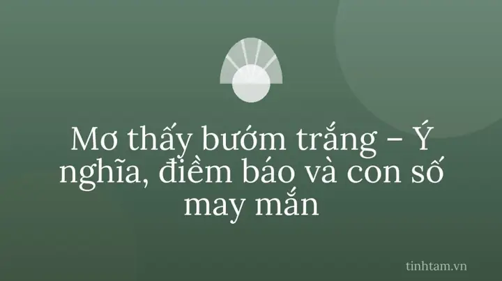 Mơ Thấy Bướm Phụ Nữ Là Điềm Báo Gì Trong Phong Thủy Và Tâm Linh?
