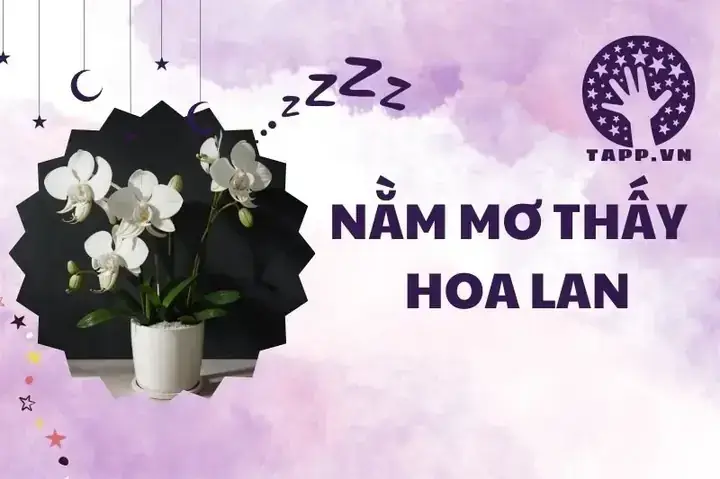 Búp Bê Quỷ Trong Giấc Mơ Có Phải Là Dấu Hiệu Của Hiện Tượng Ma Ám?