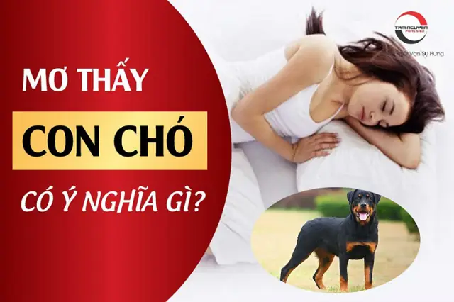 Tại Sao Những Người Làm Nghề Kỹ Thuật, Thợ Sửa Chữa Thường Hay Mơ Thấy Dụng Cụ Cơ Khí?