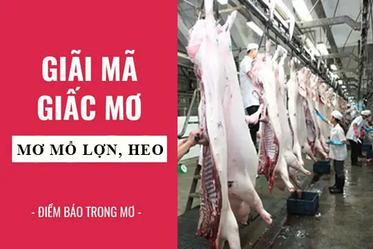 Mơ Thấy Giết Mổ Là Điềm Báo Lành Hay Dữ Cho Tương Lai Gần?
