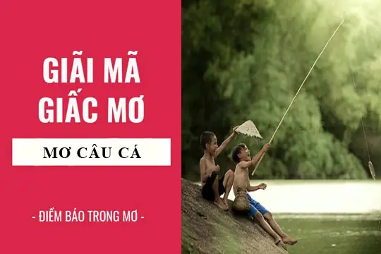 Nằm Mơ Thấy Câu Cá To Là Điềm Báo Tốt Hay Xấu?