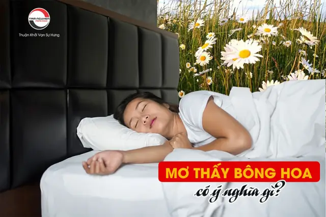 Ý Nghĩa Giấc Mơ Hoa Hồng Bị Héo Úa Hoặc Gãy Cành Ý Nghĩa Giấc Mơ Hoa Hồng Bị Héo Úa Hoặc Gãy Cành