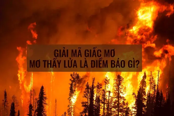 Ý Nghĩa Khi Nằm Mơ Thấy Chính Mình Bị Chết Cháy Ý Nghĩa Khi Nằm Mơ Thấy Chính Mình Bị Chết Cháy