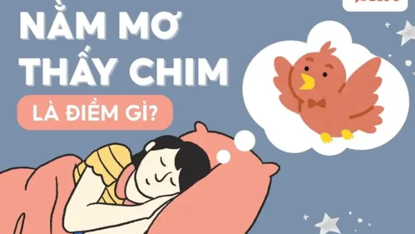 Giải Mã Giấc Mơ Thấy Chim Bay Vào Nhà: Điềm Báo Tốt Hay Xấu Và Con Số May Mắn