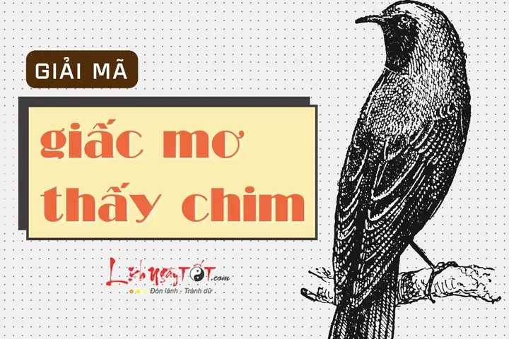 Chiêm Bao Thấy Chim Công Trắng Là Điềm Báo Tốt Hay Xấu?