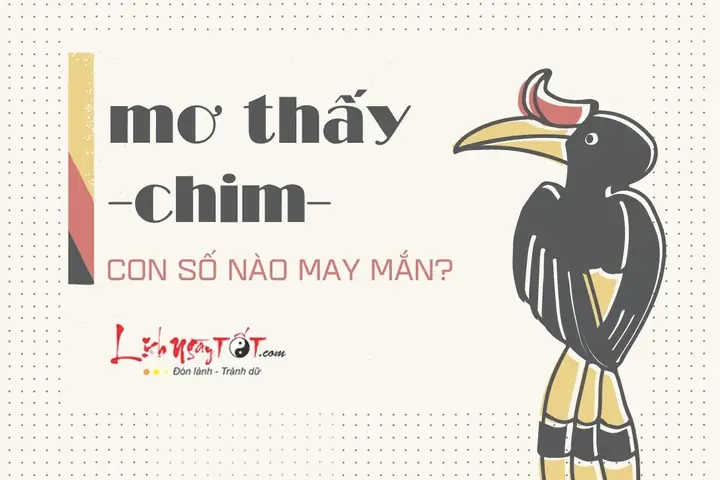 Mơ Thấy Chim Công Trắng Liên Quan Đến Những Con Số May Mắn Nào Trong Phong Thủy?
