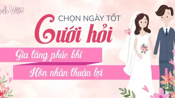 Giải Mã Giấc Mơ Thấy Chim Én Chết: Điềm Báo, Ý Nghĩa Và Con Số May Mắn