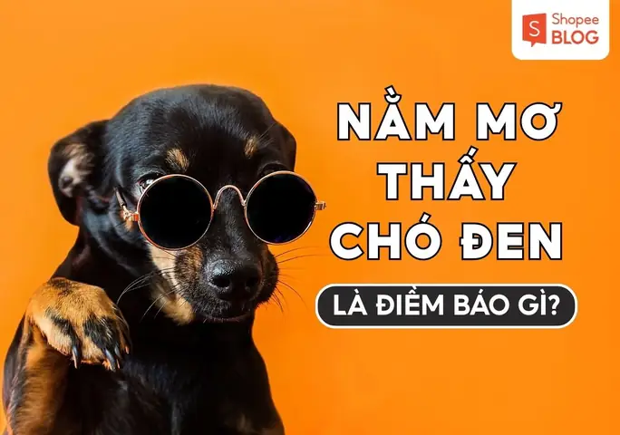 Giải Mã Giấc Mơ Thấy Cho Con Bú Mang Điềm Báo Gì Cho Tương Lai? Giải Mã Giấc Mơ Thấy Cho Con Bú Mang Điềm Báo Gì Cho Tương Lai?
