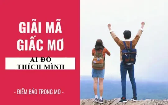 Giải Mã Giấc Mơ Thấy Có Người Nhắn Tin: Ý Nghĩa, Điềm Báo Và Các Con Số Liên Quan