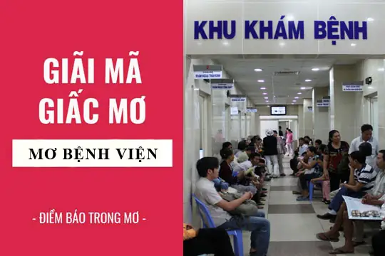Giấc Mơ Đưa Người Bệnh Tới Bệnh Viện Mang Ý Nghĩa Gì Và Là Điềm Báo Gì? Giấc Mơ Đưa Người Bệnh Tới Bệnh Viện Mang Ý Nghĩa Gì Và Là Điềm Báo Gì?