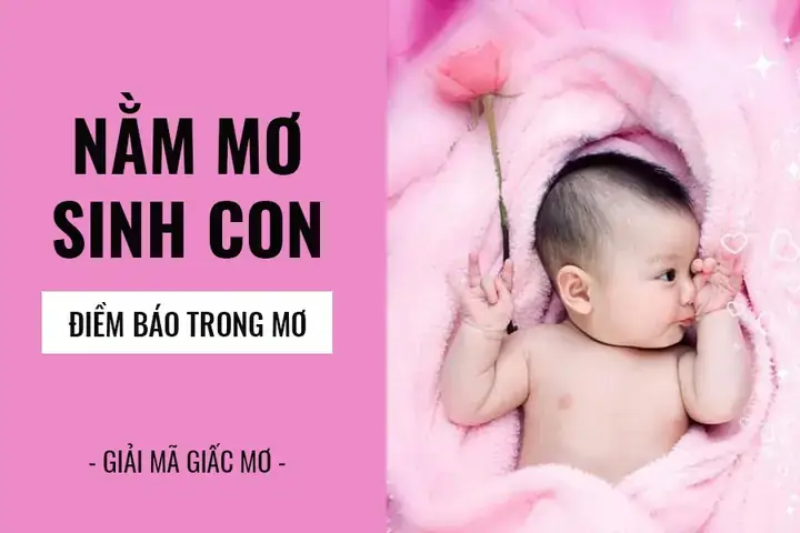 Giấc Mơ Thấy Sinh Đôi Phản Ánh Điều Gì Về Tâm Lý Và Cuộc Sống Thực Tại? Giấc Mơ Thấy Sinh Đôi Phản Ánh Điều Gì Về Tâm Lý Và Cuộc Sống Thực Tại?