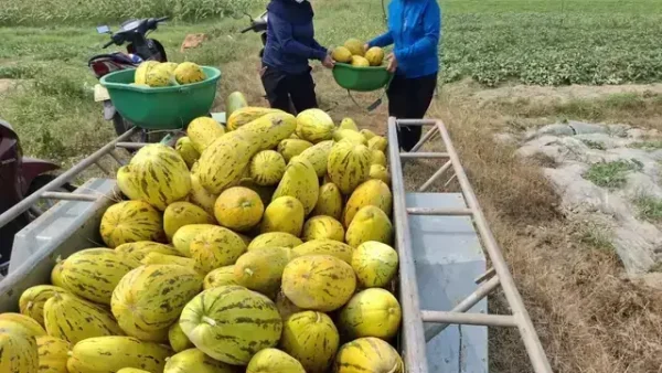 Giải Mã Giấc Mơ Thấy Đi Chân Đất Mang Điềm Báo Gì Và Ý Nghĩa Phong Thủy