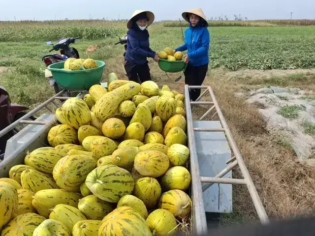 Gợi Ý Các Cặp Số Tài Lộc Khi Nằm Mơ Thấy Bước Đi Chân Trần Gợi Ý Các Cặp Số Tài Lộc Khi Nằm Mơ Thấy Bước Đi Chân Trần