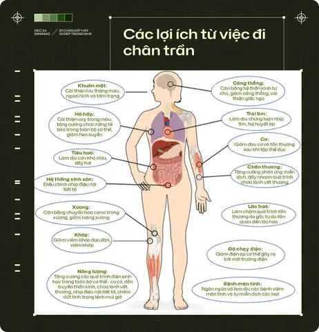 Giải Mã Giấc Mơ Thấy Đi Chân Đất Mang Điềm Báo Gì Và Ý Nghĩa Phong Thủy Giải Mã Giấc Mơ Thấy Đi Chân Đất Mang Điềm Báo Gì Và Ý Nghĩa Phong Thủy