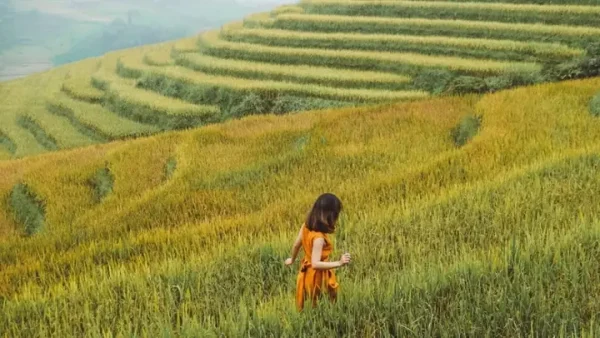 Giải Mã Giấc Mơ Thấy Đi Du Lịch: Điềm Báo Lành Hay Dữ Và Các Con Số May Mắn