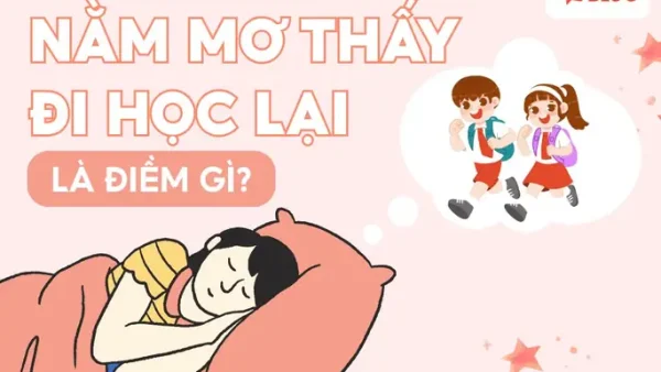Giải Mã Giấc Mơ Thấy Đi Học Về: Điềm Báo Tâm Lý, Ý Nghĩa Tương Lai Và Con Số May Mắn