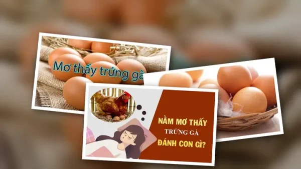 Giải Mã Giấc Mơ Thấy Gà Đẻ Trứng Là Điềm Gì, Hên Hay Xui Và Con Số May Mắn