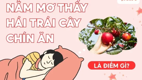 Giải Mã Giấc Mơ Hái Trái Cây: Điềm Báo Lành Dữ Và Các Con Số May Mắn