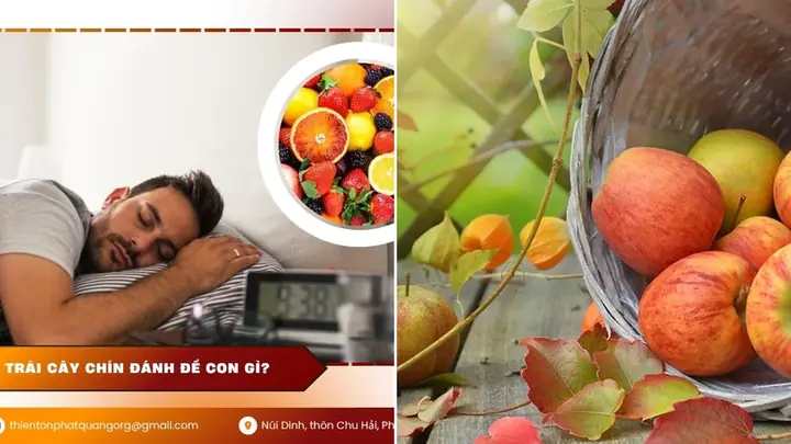 Nằm Mơ Thấy Hái Trái Cây Đánh Con Gì, Số Mấy Để May Mắn? Nằm Mơ Thấy Hái Trái Cây Đánh Con Gì, Số Mấy Để May Mắn?