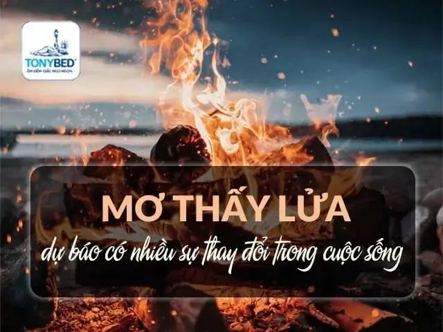 Giấc Mơ Này Phản Ánh Điều Gì Về Tài Chính Và Sức Khỏe Của Bạn? Giấc Mơ Này Phản Ánh Điều Gì Về Tài Chính Và Sức Khỏe Của Bạn?