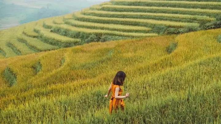 Điềm Báo Tương Lai Nào Ẩn Giấu Sau Giấc Mơ Ở Nhà Khách? Điềm Báo Tương Lai Nào Ẩn Giấu Sau Giấc Mơ Ở Nhà Khách?