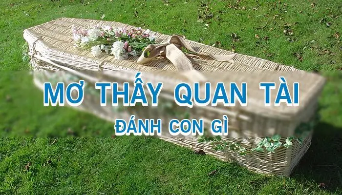 Hình Ảnh Quan Tài Trong Giấc Mơ Ẩn Chứa Nhiều Điềm Báo Đặc Biệt Hình Ảnh Quan Tài Trong Giấc Mơ Ẩn Chứa Nhiều Điềm Báo Đặc Biệt