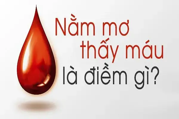 Giấc Mơ Thấy Người Thân Chảy Máu Phản Ánh Điều Gì Về Sức Khỏe Và Cảm Xúc Của Bạn? Giấc Mơ Thấy Người Thân Chảy Máu Phản Ánh Điều Gì Về Sức Khỏe Và Cảm Xúc Của Bạn?
