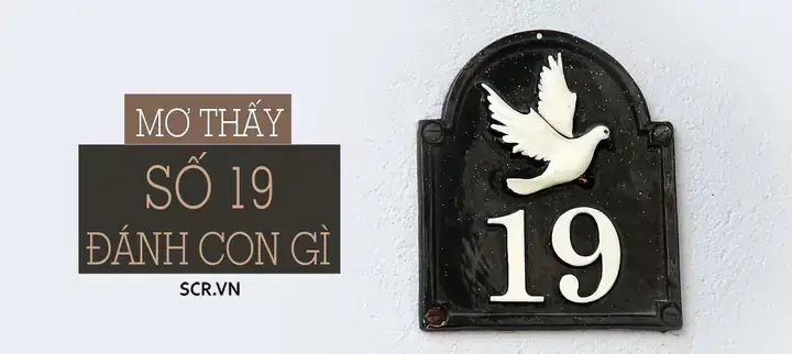 Giải Mã Giấc Mơ Thấy Số Hiện Và Mất: Ý Nghĩa Tâm Linh Và Điềm Báo May Mắn